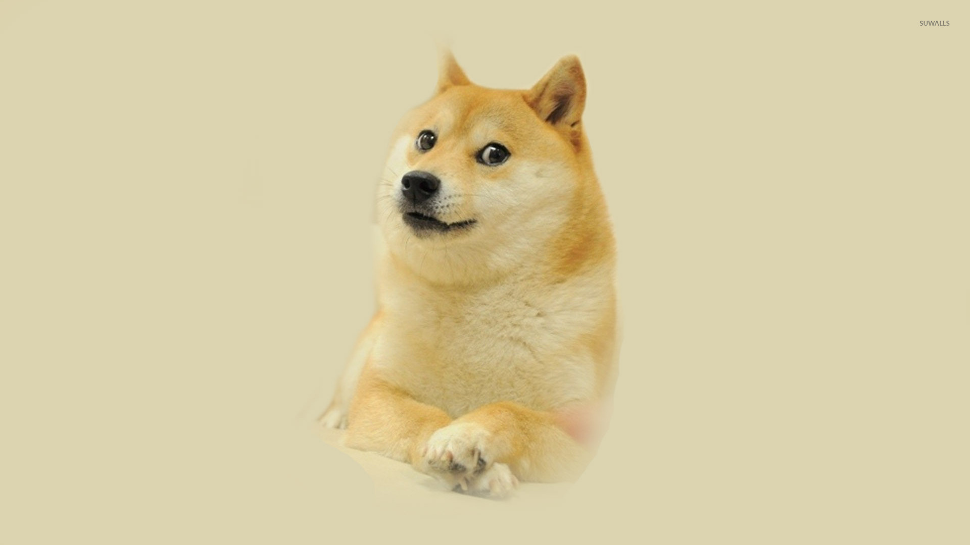 Dogecoin