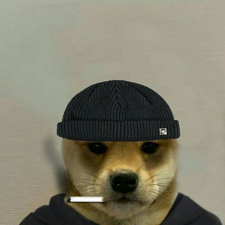 Dog With Hat